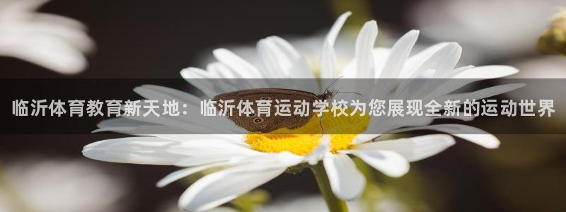 MK体育官网下载平台是正规平台吗安全吗：临沂体育教育