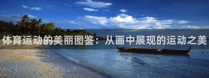 MK体育官网下载平台是正规平台吗安全吗：体育运动的美