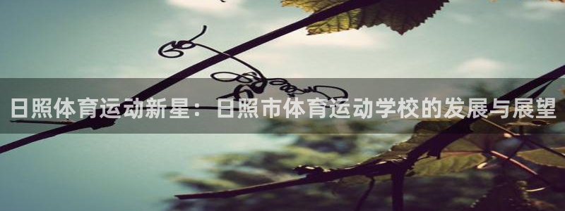 MK体育官网下载招商电话是多少啊：日照体育运动新星：