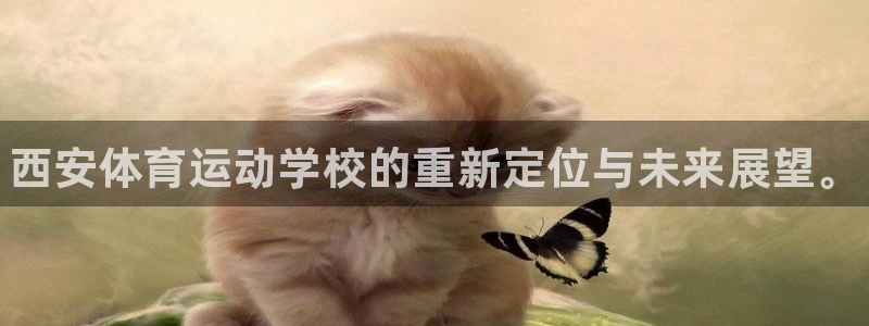 MK体育官网下载平台：西安体育运动学校的重新定位与未