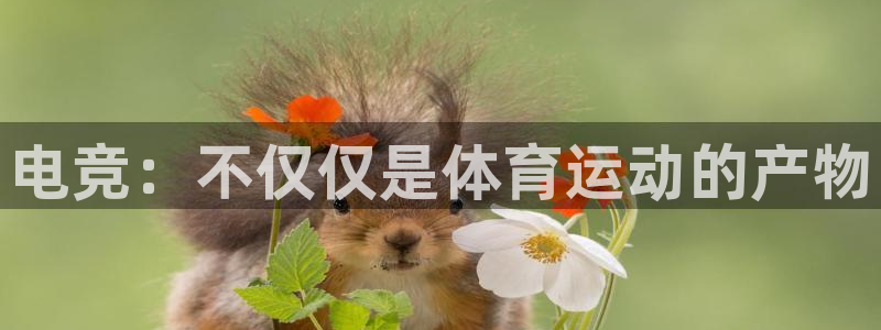 MK体育官方正版app娱乐40996：电竞：不仅仅是