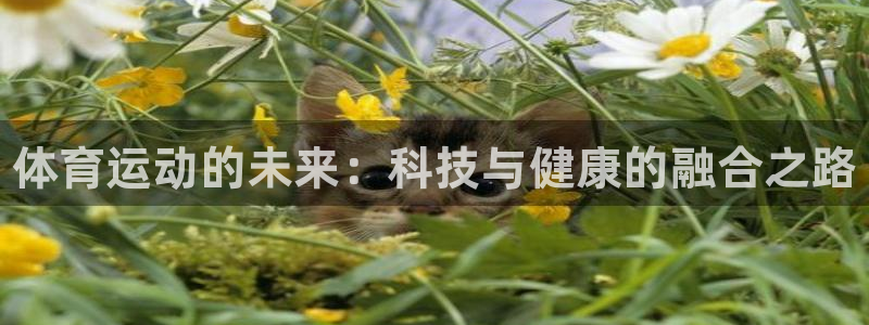 MK体育官方正版app官网：体育运动的未来：科技与健康的融合