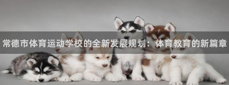 MK体育官方正版app新能源：常德市体育运动学校的全