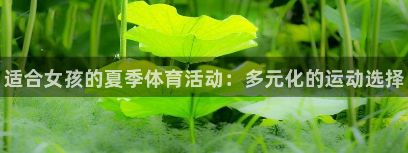 MK体育官方正版app集团官网首页网址：适合女孩的夏季体育活