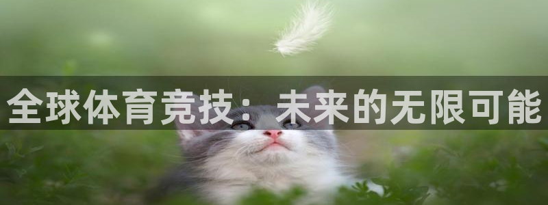 MK体育官方正版app集团官网首页