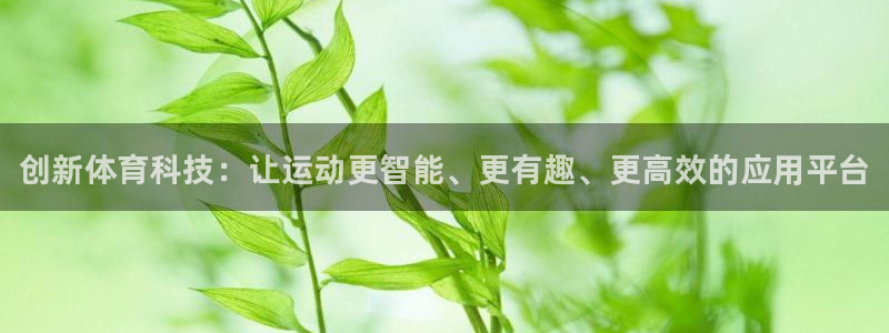 MK体育官方正版app新能源：创新体育科技：让运动更智能、更