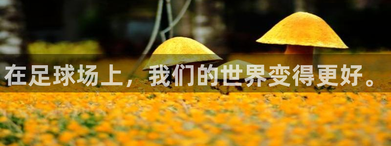 MK体育官方正版app集团官网首页网址：在足球场上，