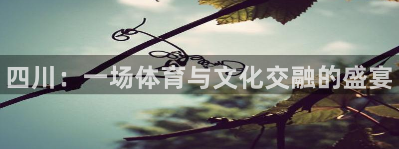 MK体育官方正版app娱乐是那个系列的台子：四川：一场体育与