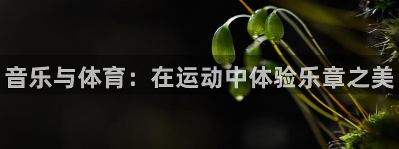 MK体育官网下载招商电话地址：音乐与体育：在运动中体验乐章之