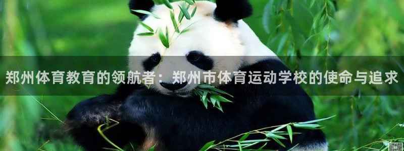 MK体育官网下载平台注册要钱吗：郑州体育教育的领航者：郑州市