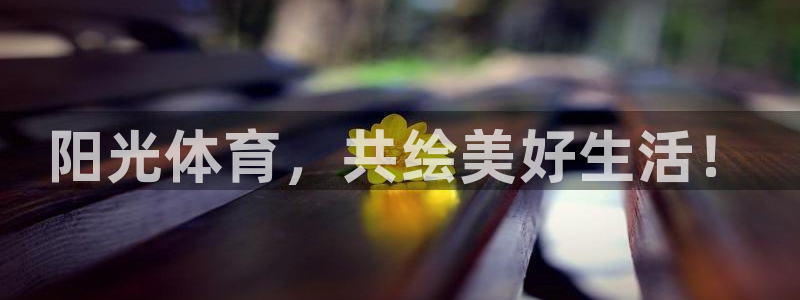 MK体育官方正版app新能源