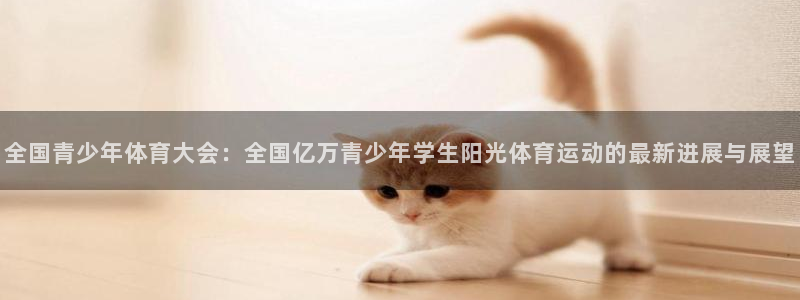 MK体育官网下载招商：全国青少年体育大会：全国亿万青少年学生