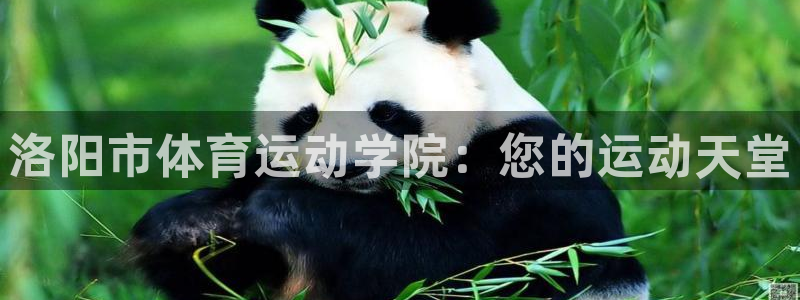 MK体育官网下载注册：洛阳市体育运动学院：您的运动天堂