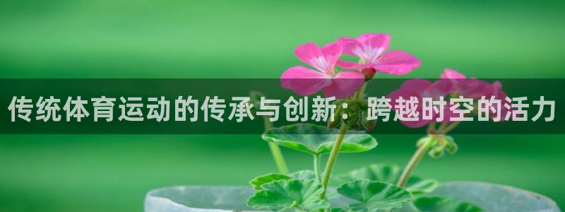 MK体育官方正版app集团官网首页：传统体育运动的传承与创新