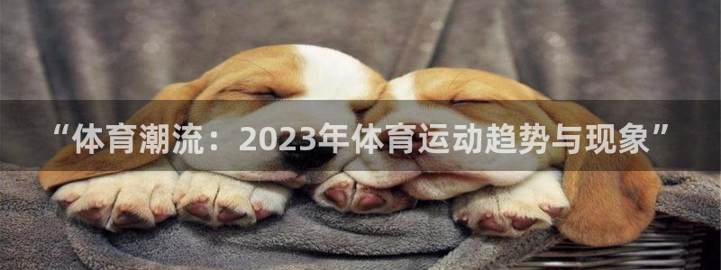 MK体育官方正版app神州：“体育潮流：2023年体育运动趋