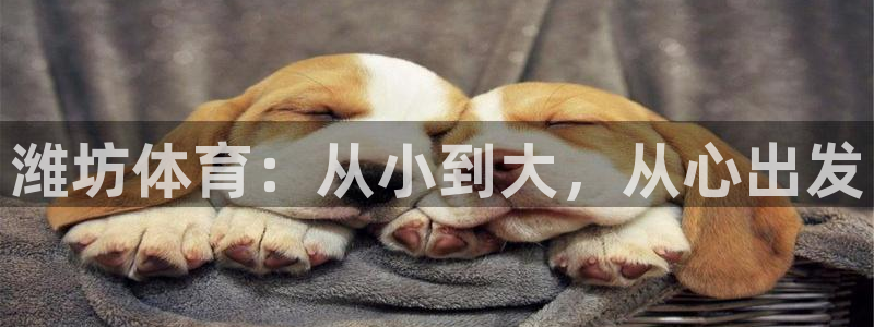 MK体育官网下载平台是正规平台吗：潍坊体育：从小到大，从心出