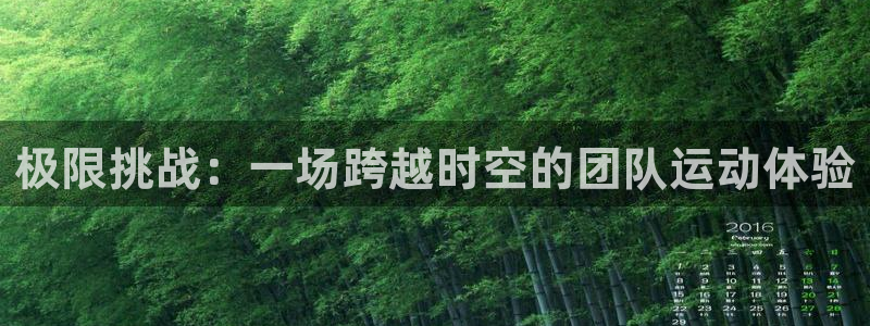 MK体育官网下载是干嘛的公司：极限挑战：一场跨越时空的团队运